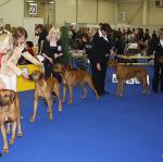 World Dog Show-2009