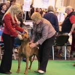 CRUFTS 2010 RR day two